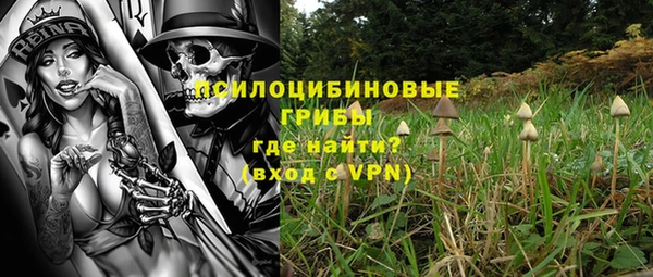 спиды Кукмор