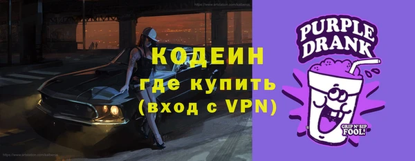 спиды Кукмор