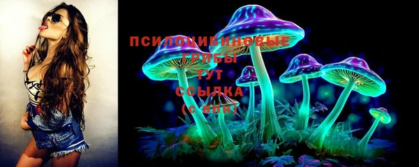 спиды Кукмор
