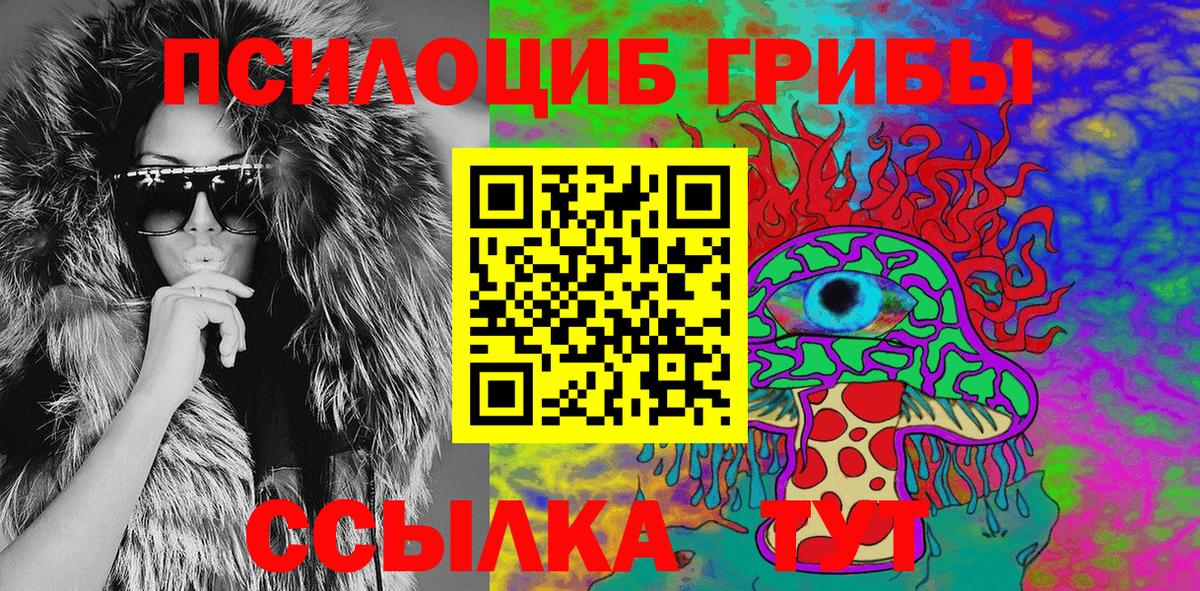 Псилоцибиновые грибы Psilocybe  Тында 