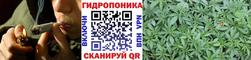 Бошки Шишки VHQ  Тында 
